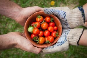 Ingredientes Especiais Orgânicos: Sabor Natural e Sustentável